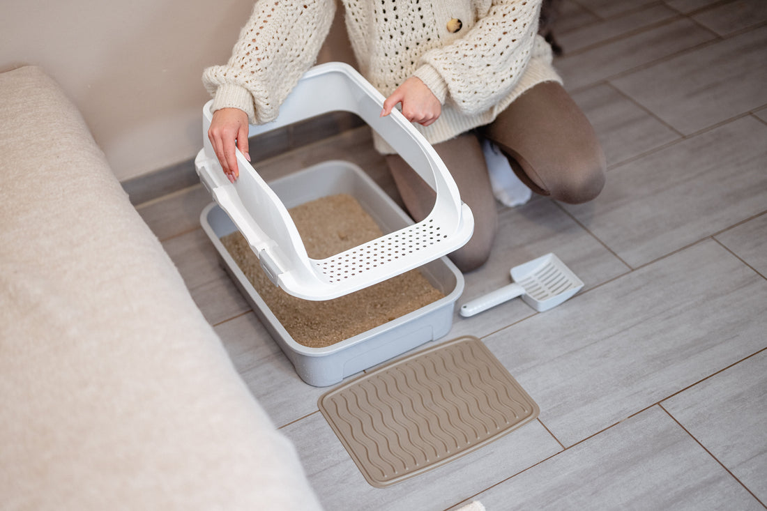 How Do I Remove Yellow Stains From the Litter Box? Defeating the "Urine Scale" Boss