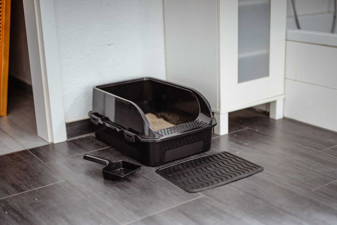 Where Should I Place the Litter Box in My Apartment? The Ultimate Location Guide