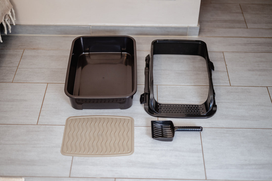 How Often Should You Buy a New Litter Box? The Durability Check