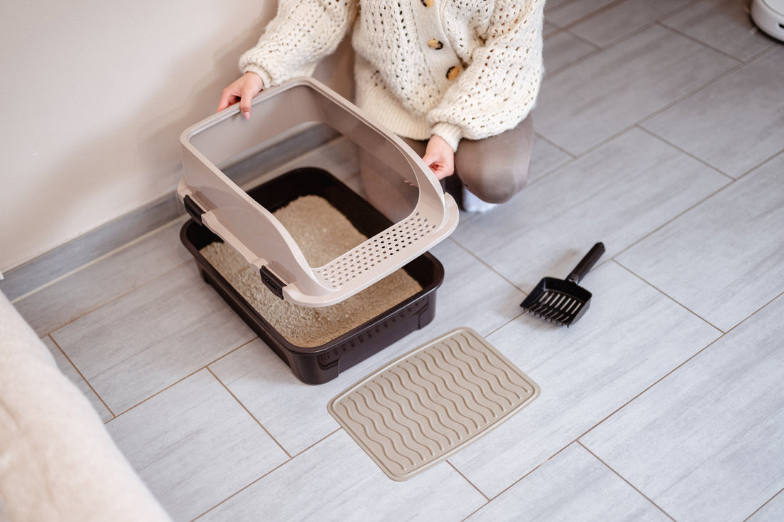 How Do I Clean the Litter Box Correctly? The 5-Step Master Plan