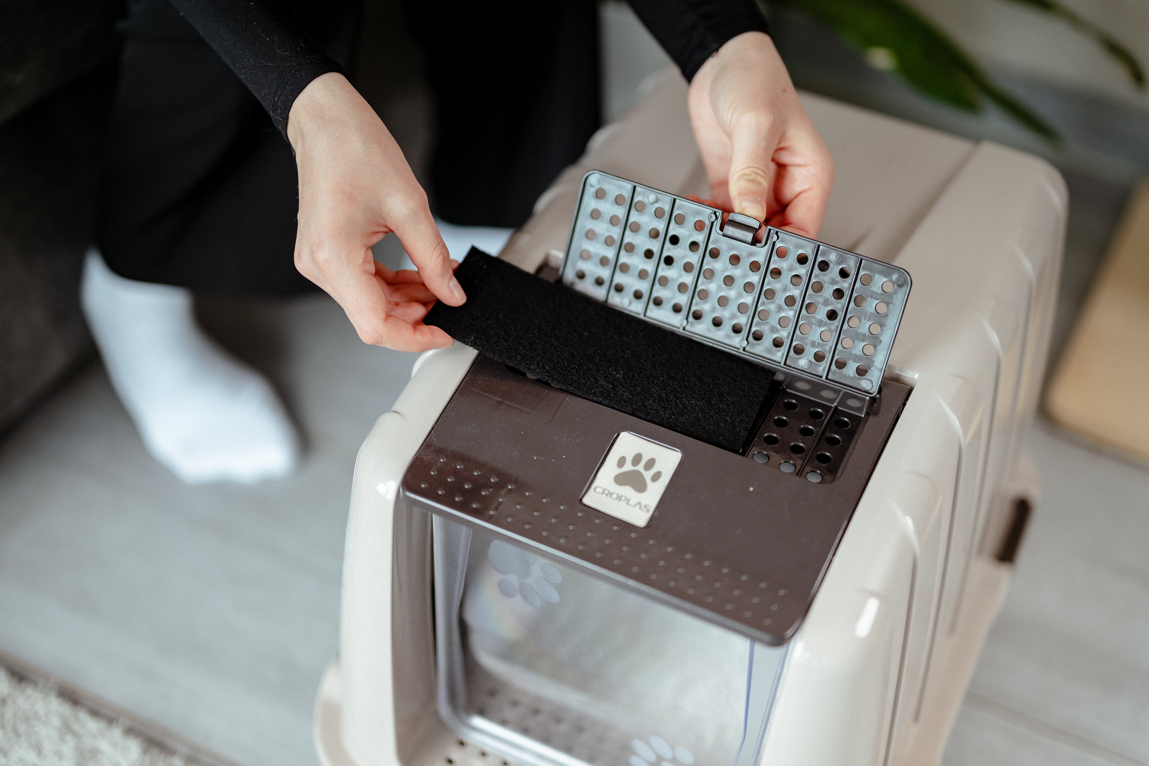 Litter Box Smells, What to Do? 3-Step Plan for Instant Odor Elimination