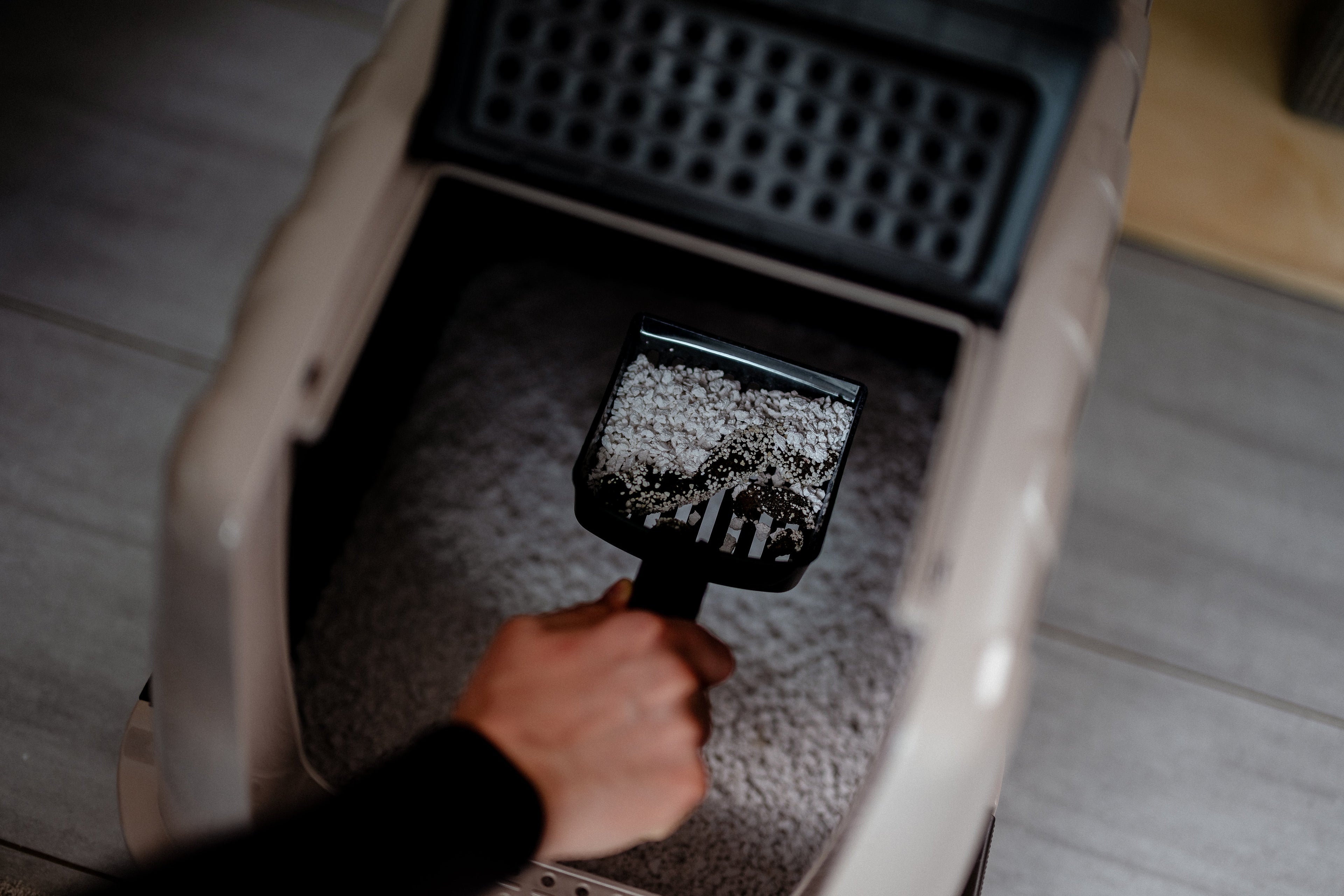 Emptying the Cat Litter Box: Where Does Used Cat Litter Really Go?