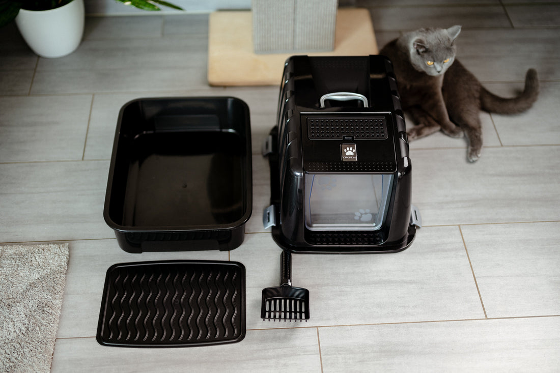 How Big Should the Litter Box Actually Be? The Formula for Maximum Comfort