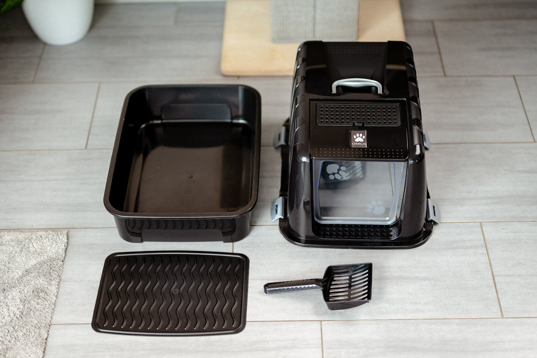 How Often Should You Completely Clean Your Cat Litter Box?