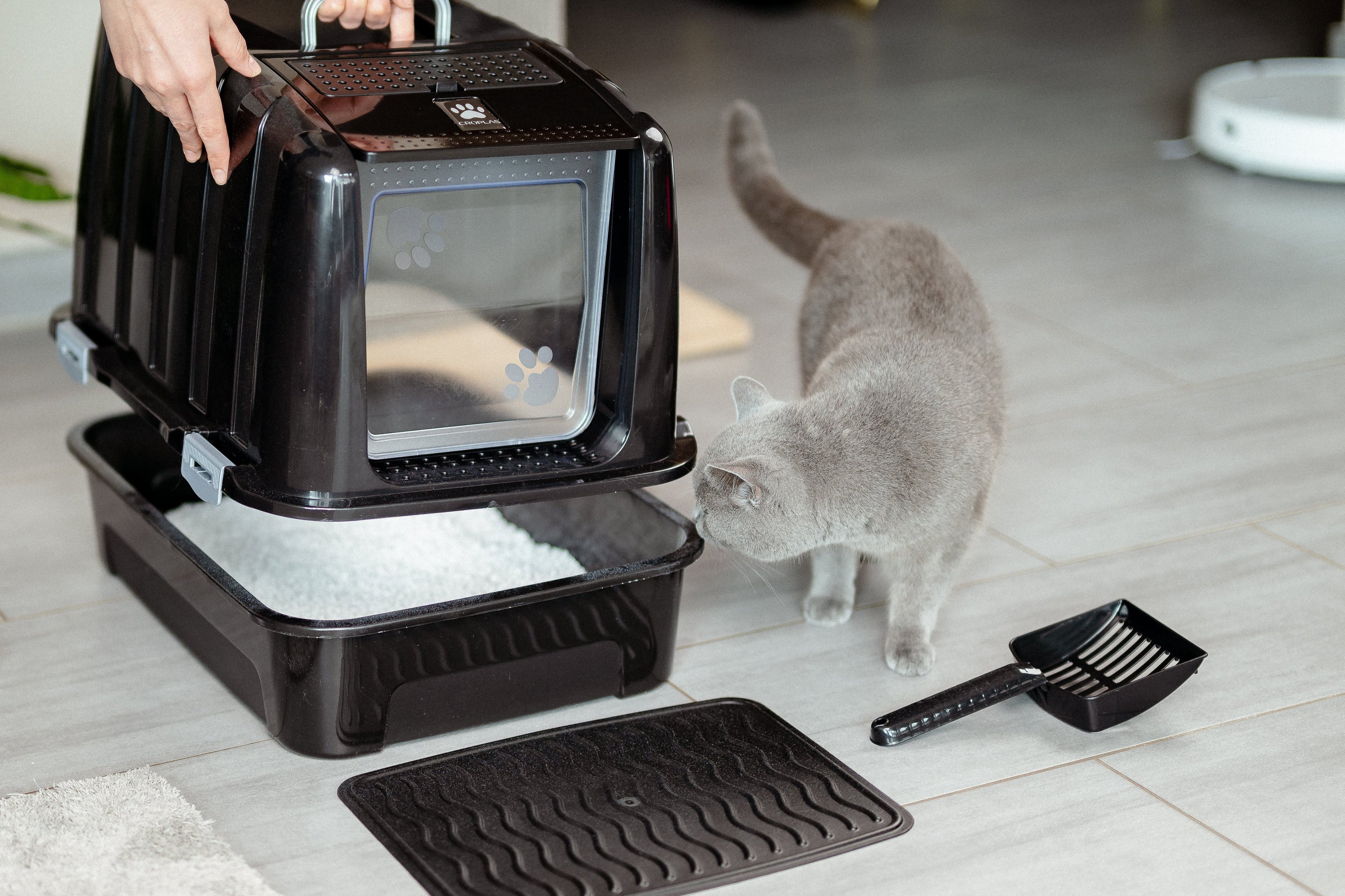 How Often Should You Change the Litter in a Cat Litter Box?