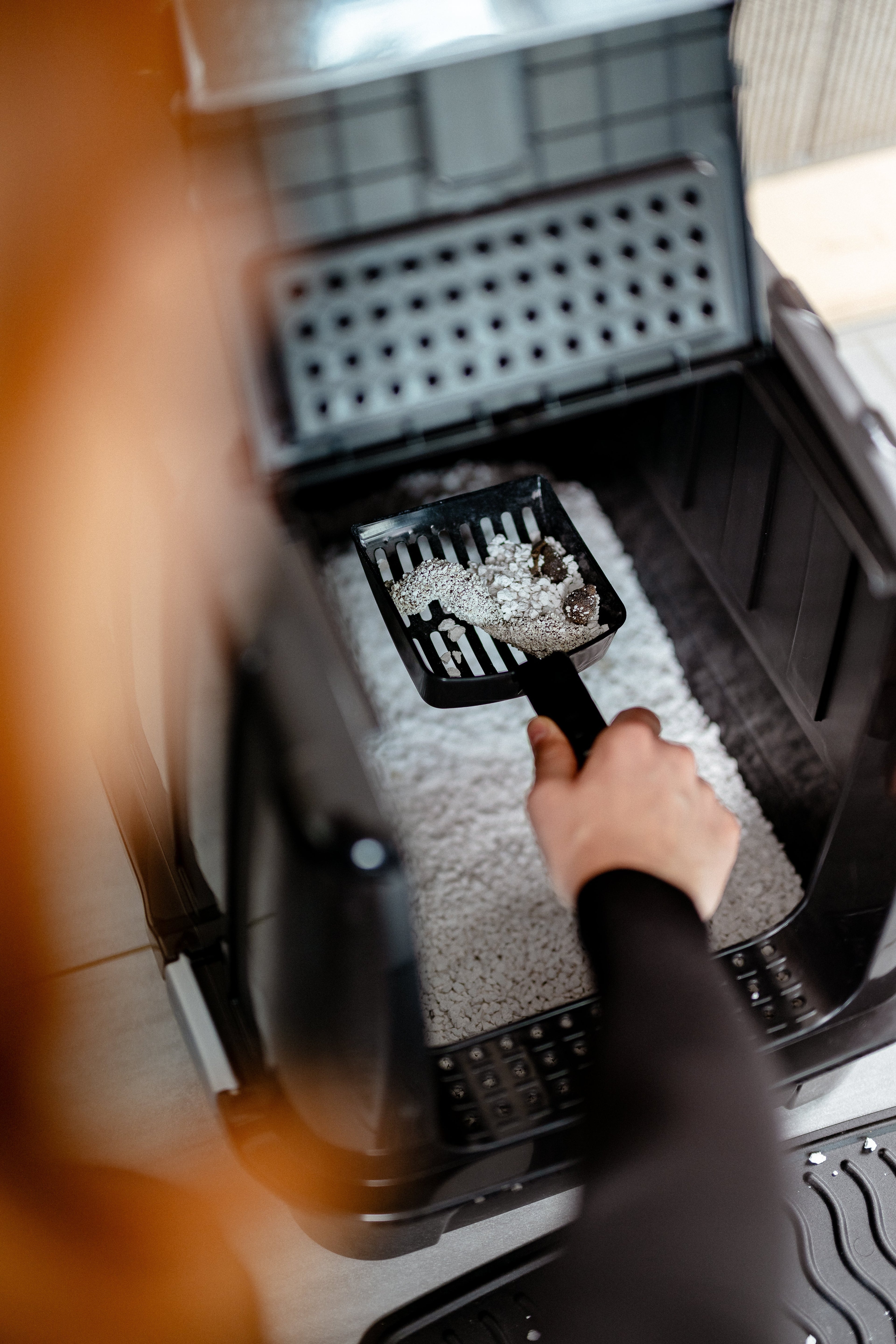 How Often a Day Should You Clean a Cat Litter Box?
