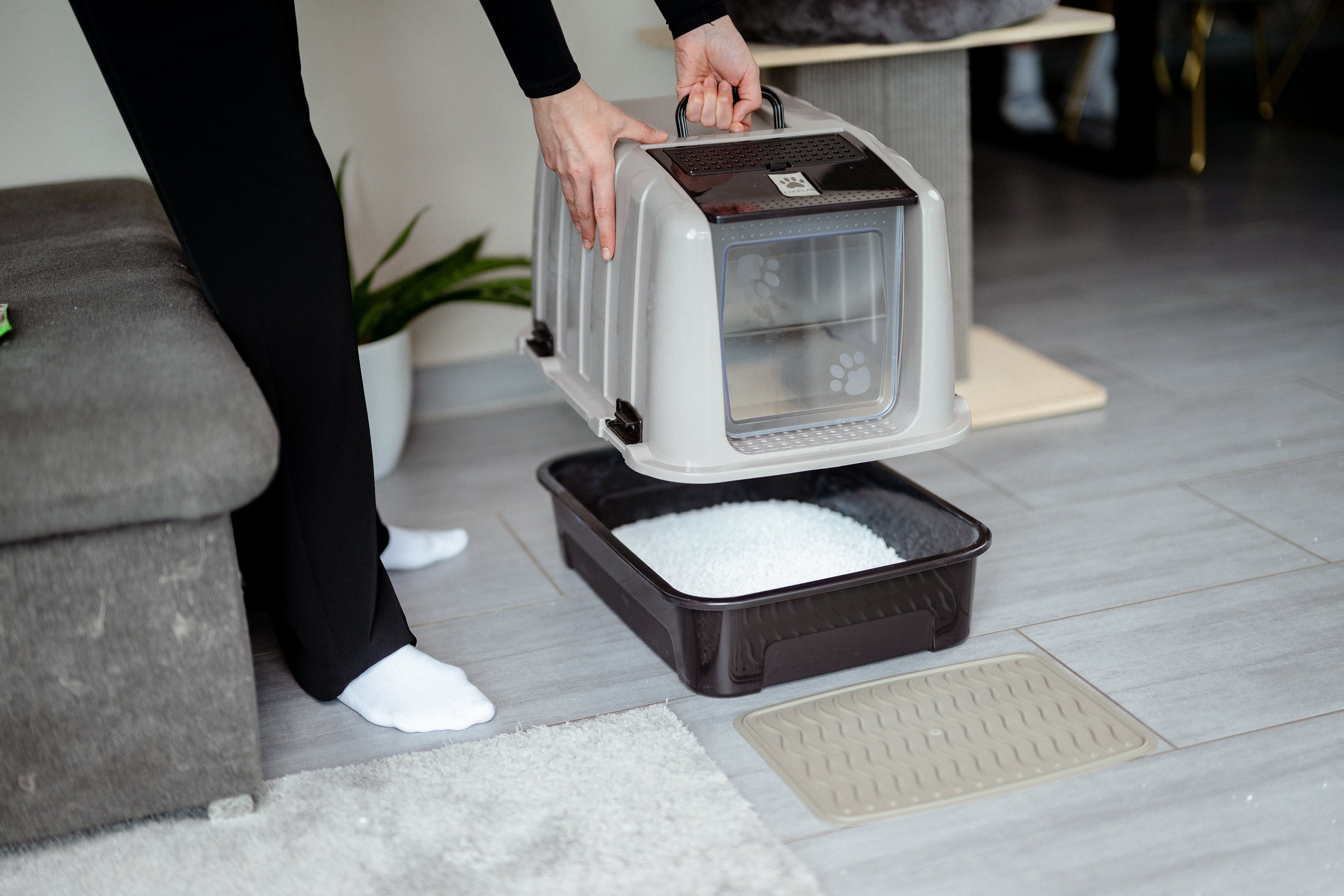 Where to Clean the Cat Litter Box and Dispose of the Waste?